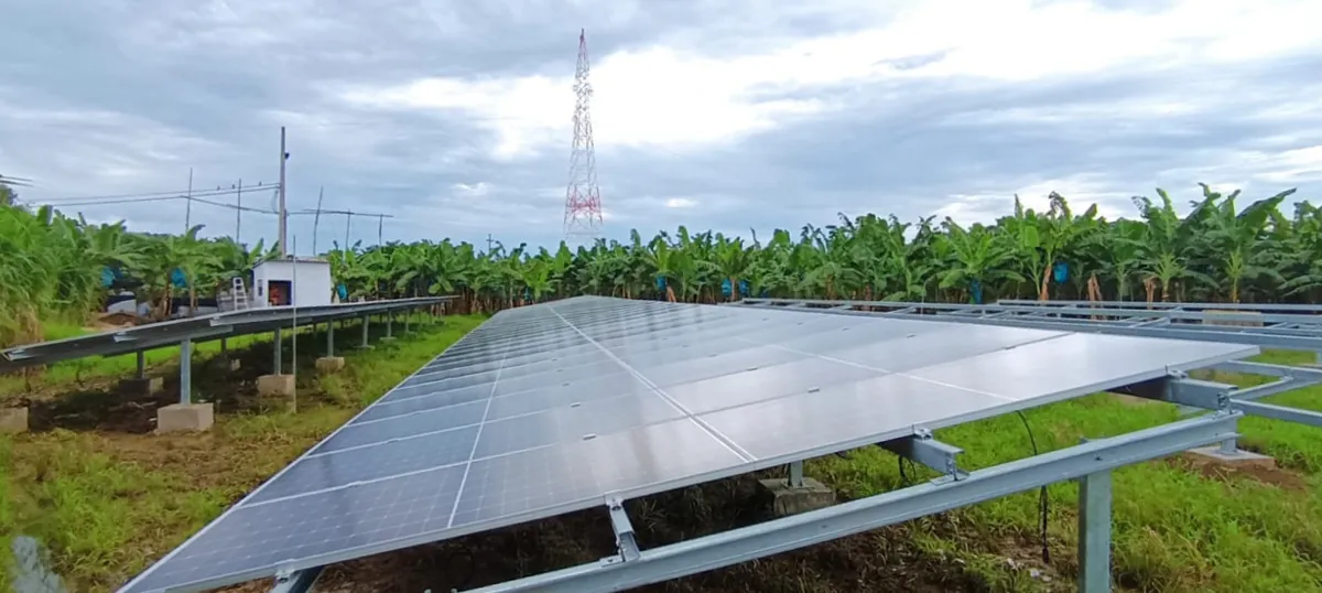 Estructura solar para minigranja sobre suelo en Apartadó